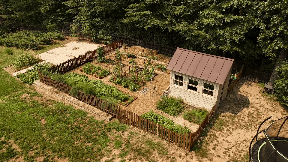 Kitchen garden and potting shed