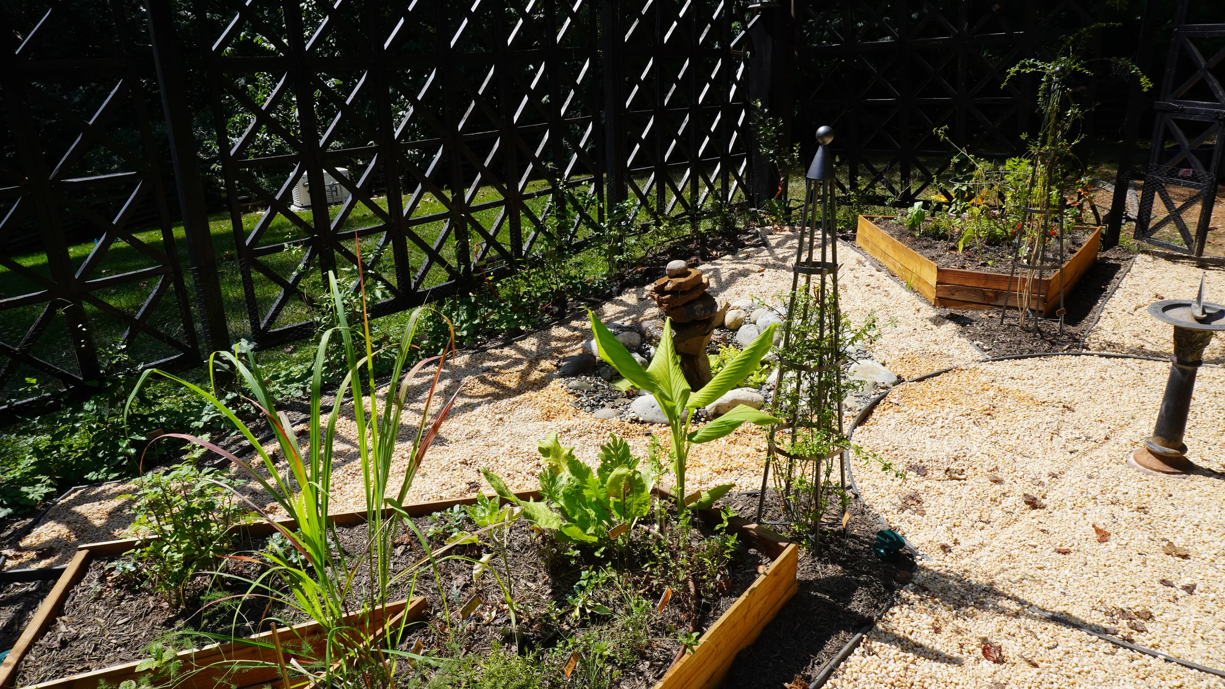 Raised bed garden with tropical plantings