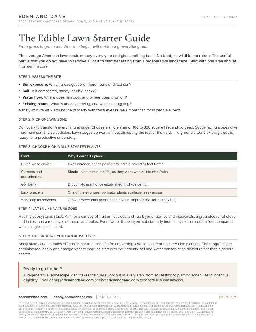 First page of The Edible Lawn Starter Guide