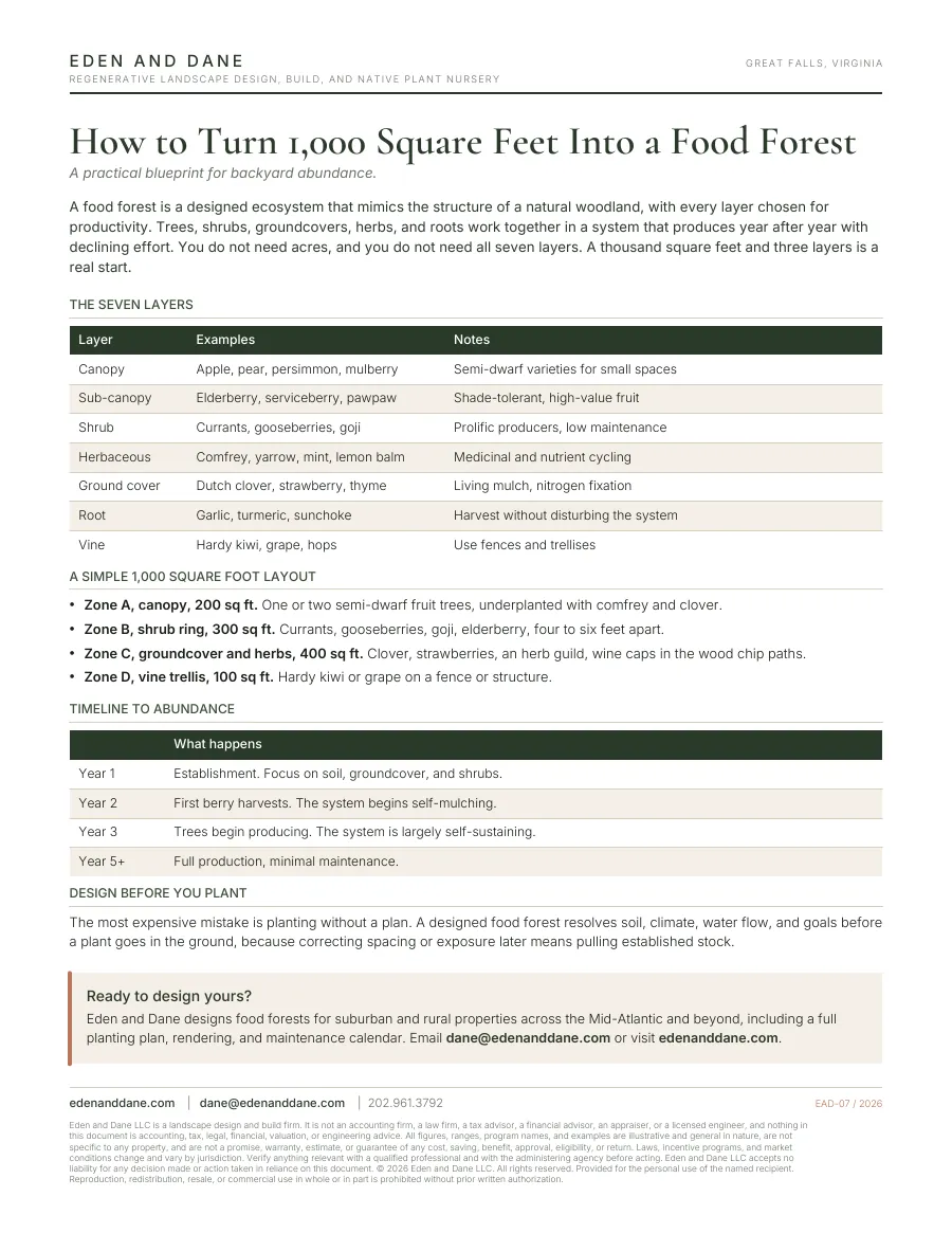 First page of How to Turn 1,000 Square Feet Into a Food Forest