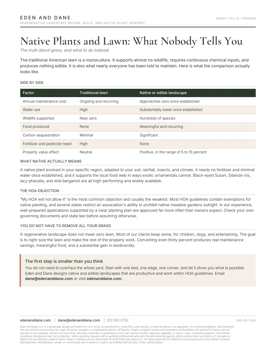 First page of Native Plants and Lawn: What Nobody Tells You
